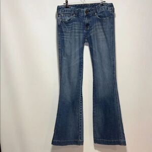 Express Classic Blue Wide Leg Jeans